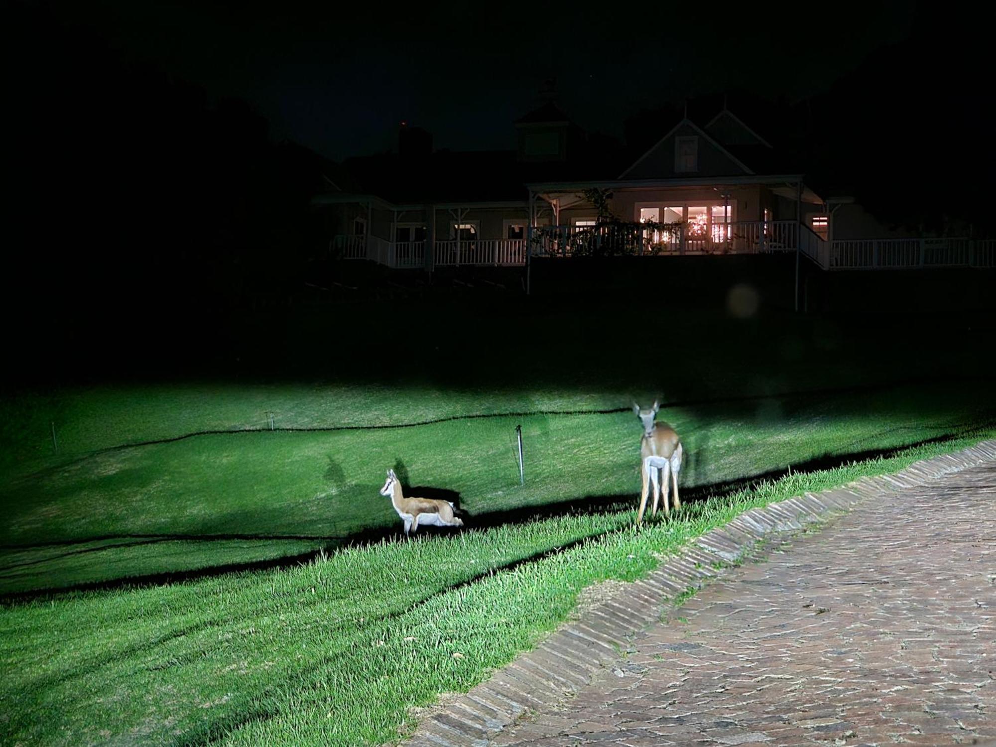 Die Heerenhuys Guest Suites Municipalità locale di Municipalità locale di Stellenbosch Esterno foto